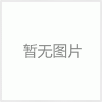 電熨斗表面溫升測(cè)試儀DMS